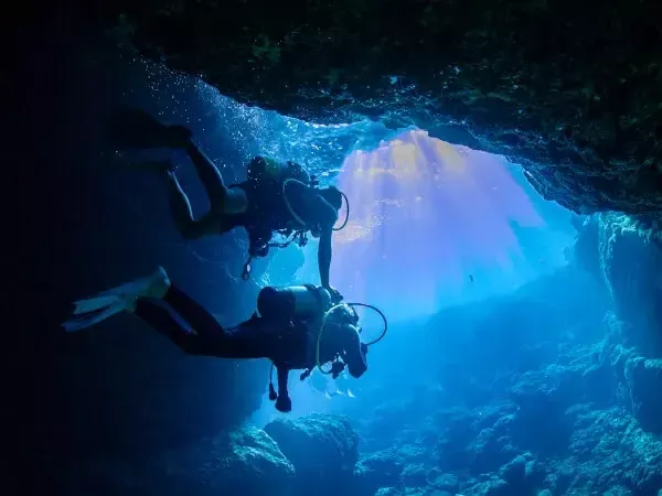 沖縄のおすすめダイビングショップの選び方