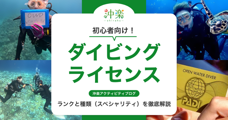 ダイビングライセンスのランクと種類（スペシャリティ）を徹底解説【初心者向け】