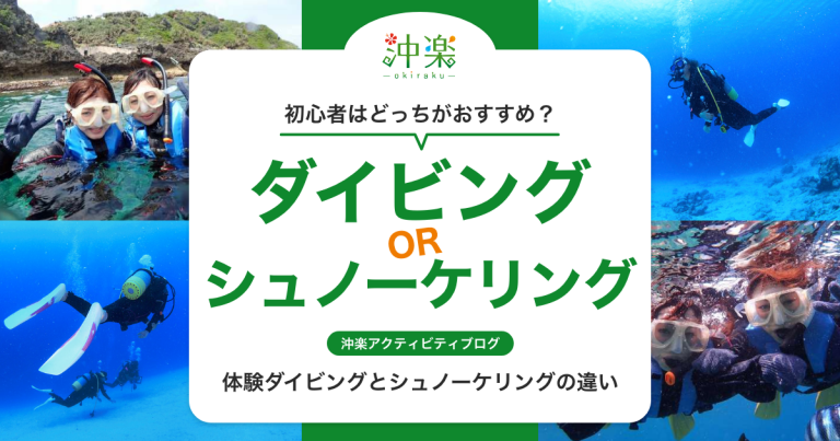  体験ダイビングとシュノーケリングの違い