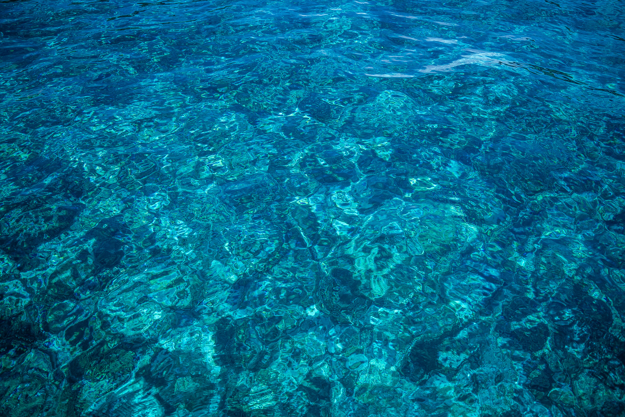水面からも美しい慶良間の海