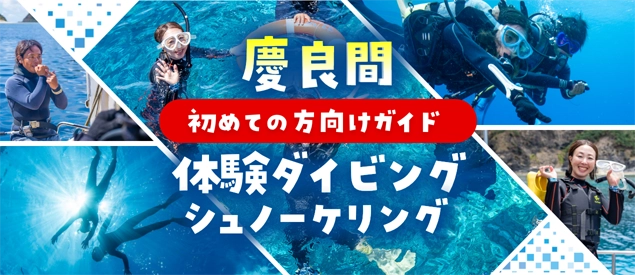 慶良間の体験ダイビング＆シュノーケリング、初めての方向けガイド
