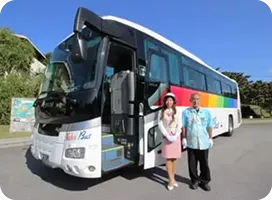 観光周遊・<br>ガイドツアー