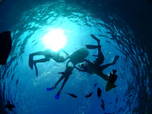 MaLinLin-DIVE(マリンリンダイブ)