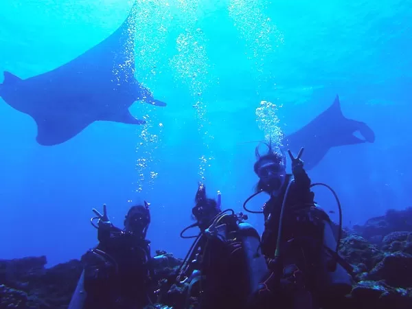 Happy Holiday（ハッピーホリデー）