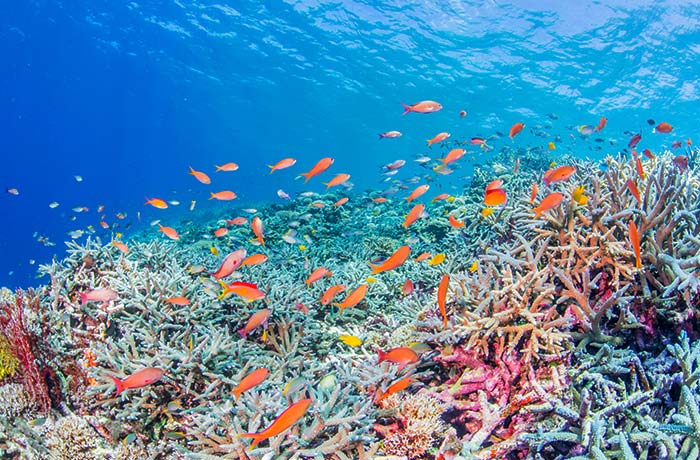 アイランドワークス