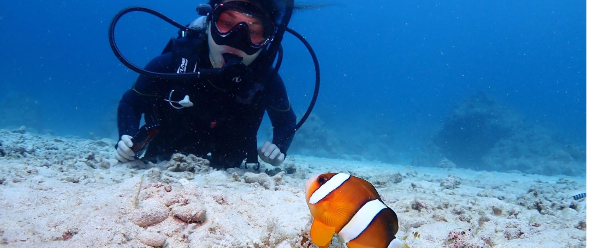 石垣島マリンサービス 結咲