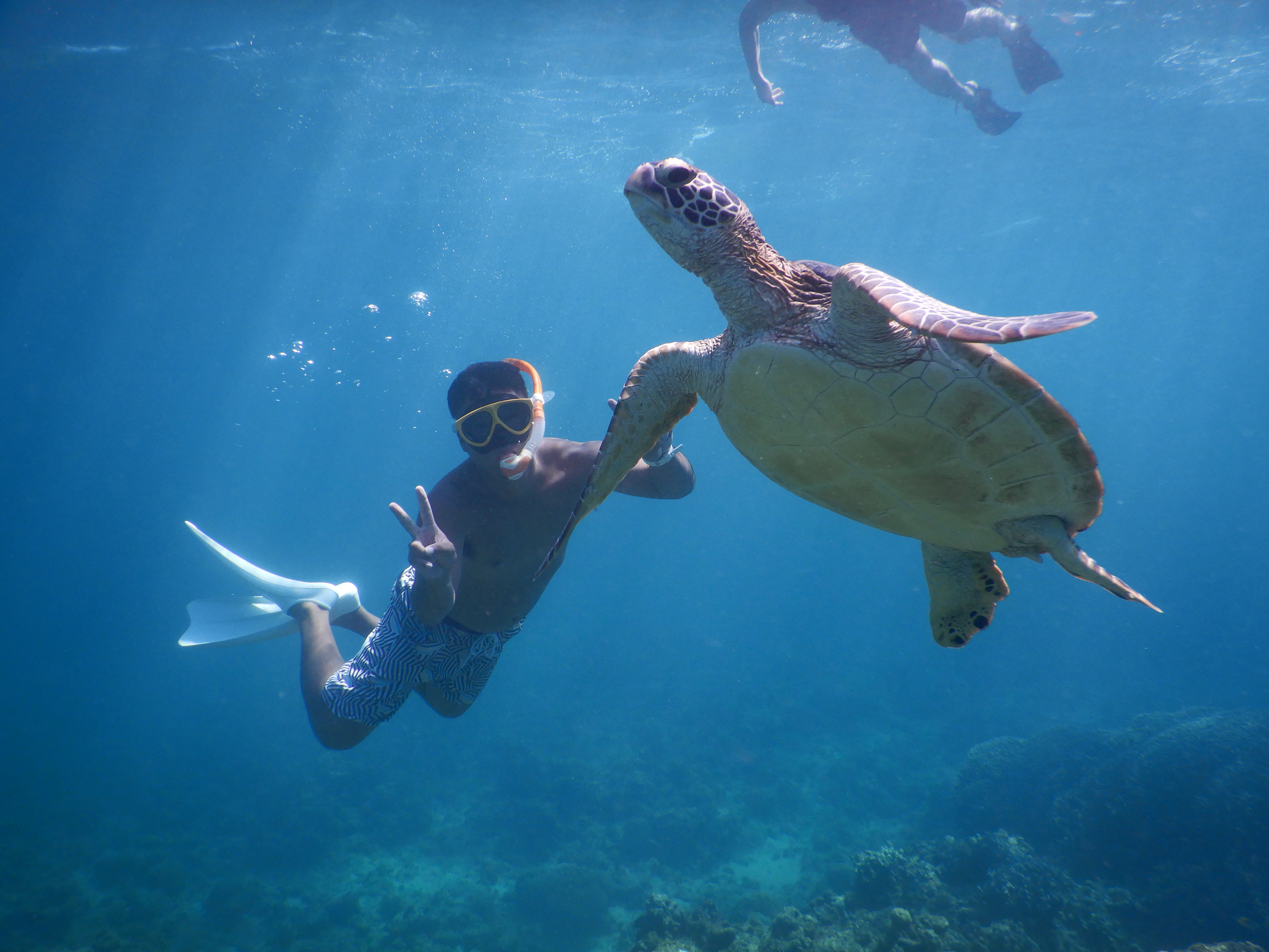 マリンショップアガイティーラ