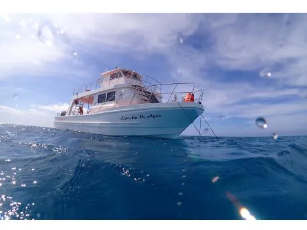 株式会社Aquatic Marine