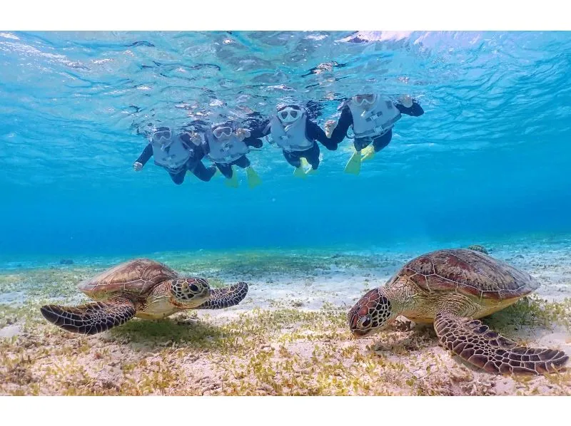 AQXIA宮古島（アクシア）