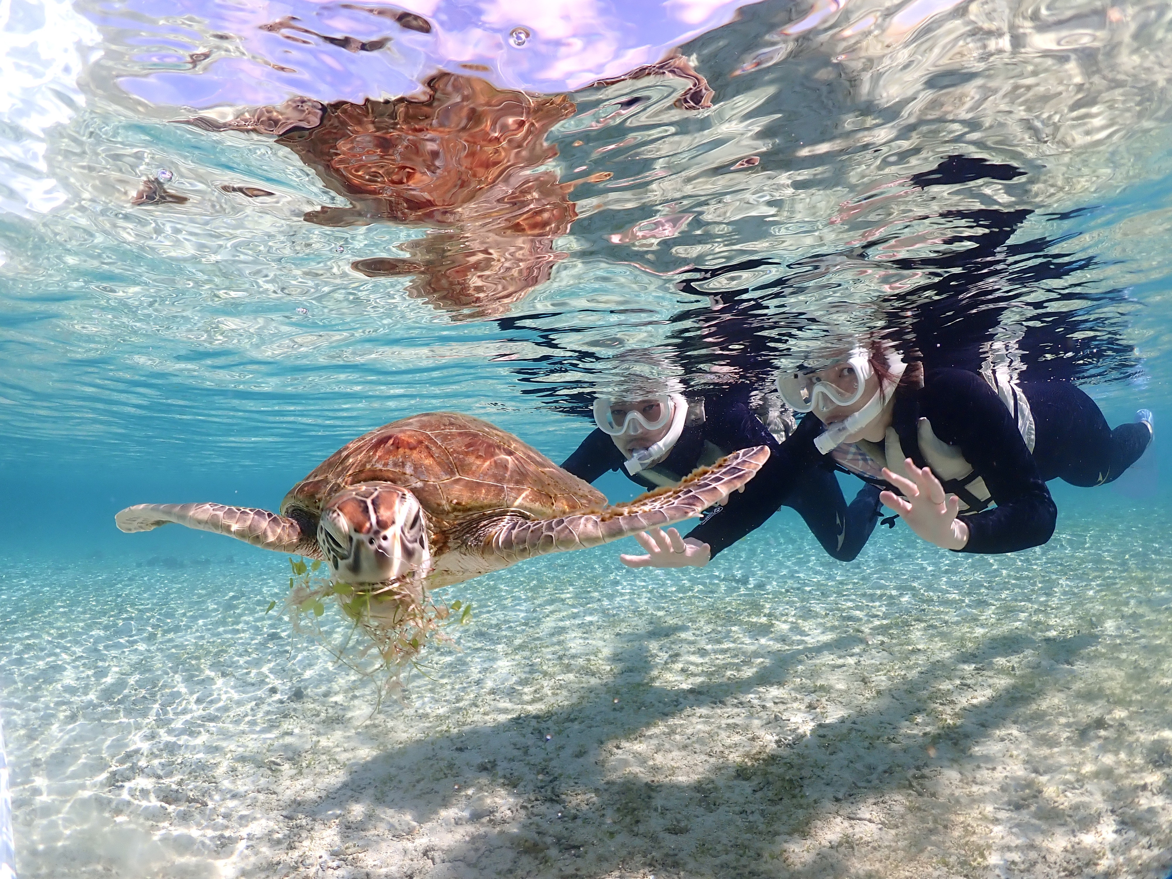 宮古blueまほろば