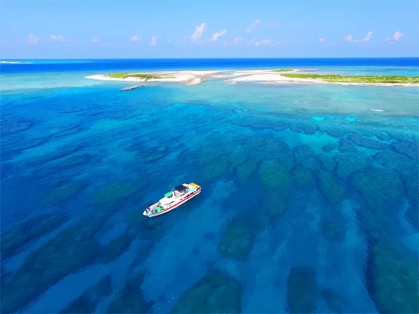 Airi Marine（アイリーマリン）