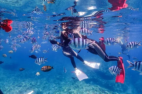 マリンショップリル