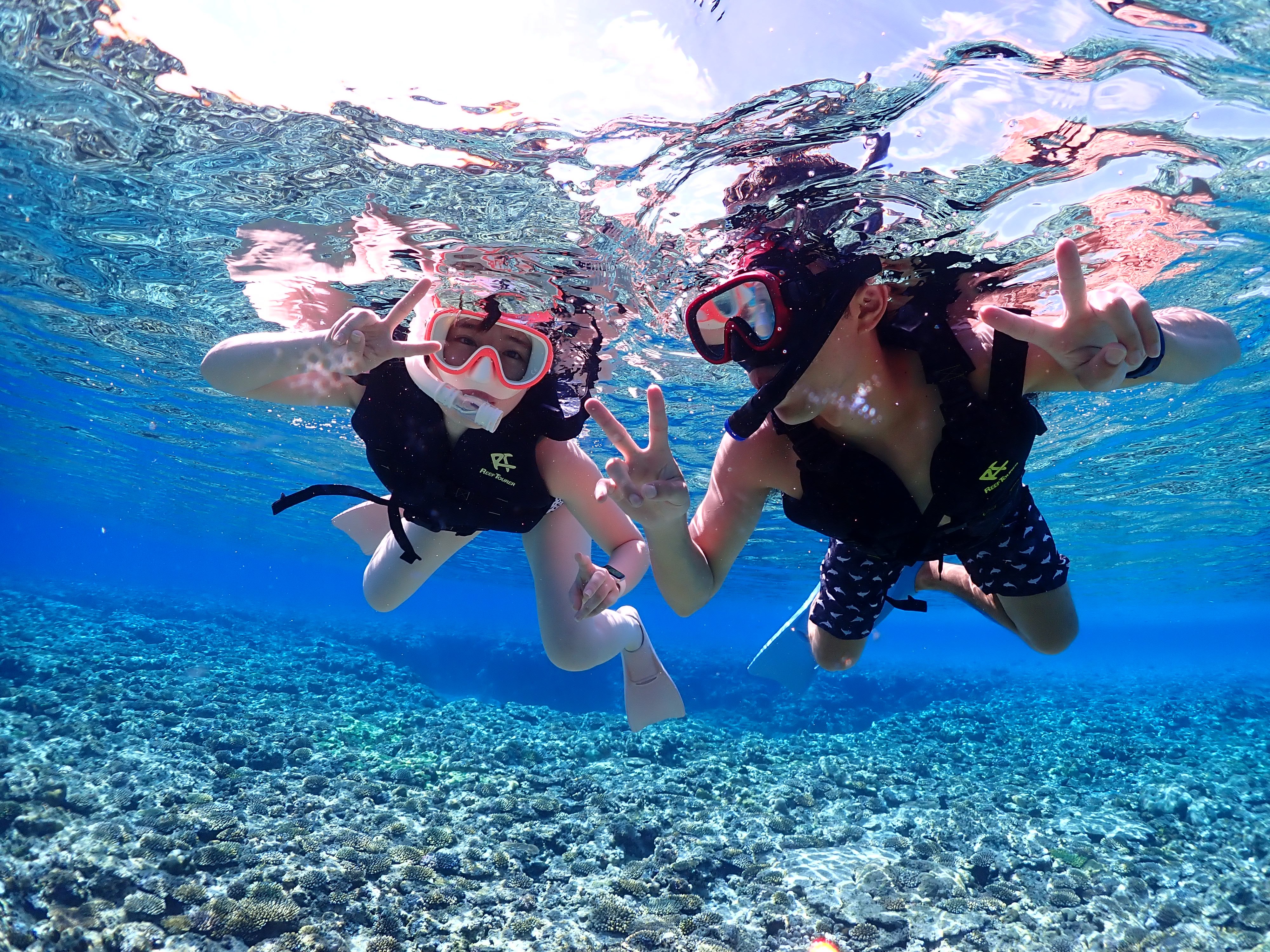 パイレーツマリンクラブ