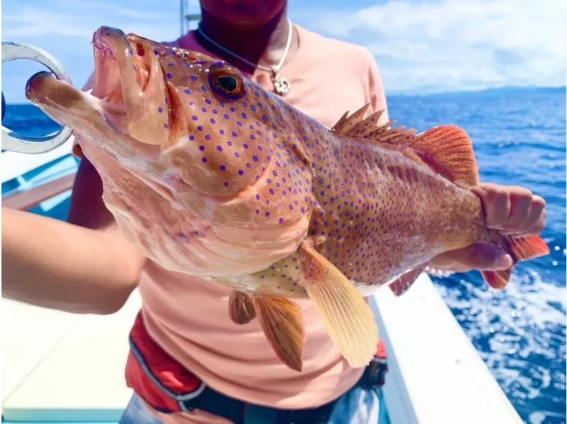 マリンサービスDORADO（ドラド）