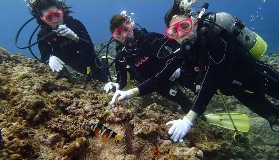 株式会社Aquatic Marine