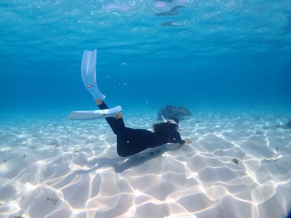 このみ　こんちゃん