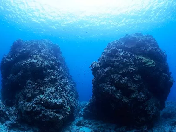 スキンダイビングライセンス