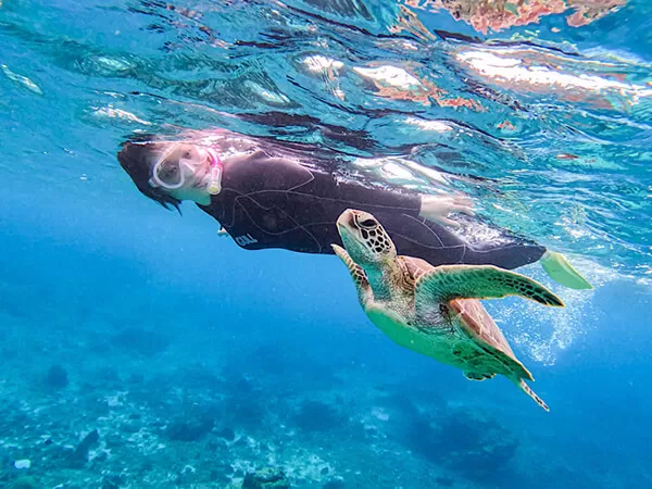 宮古島｜ウミガメシュノーケル