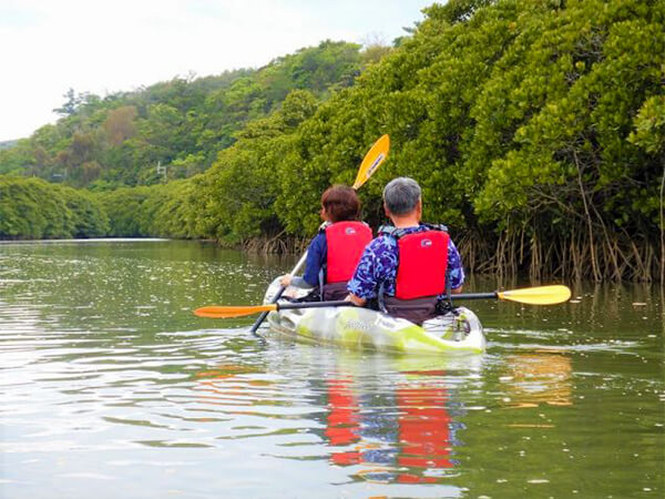 やんばる｜マングローブカヌー