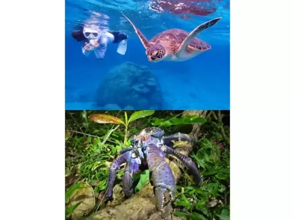 ここにプラン名が入ります。詳細ではプラン名は全て表示します。最大で2行