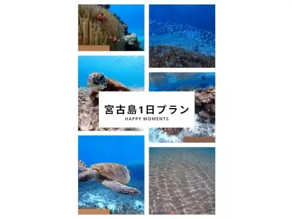 ここにプラン名が入ります。詳細ではプラン名は全て表示します。最大で2行