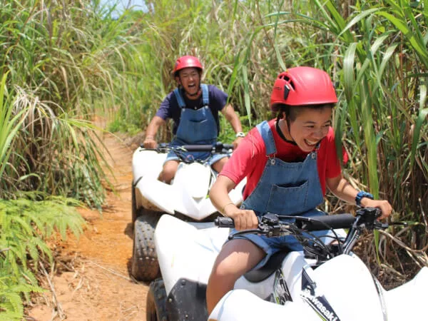 ここにプラン名が入ります。詳細ではプラン名は全て表示します。最大で2行