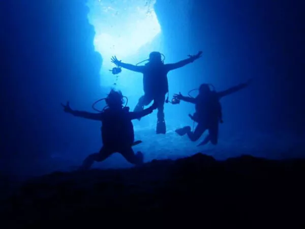 ここにプラン名が入ります。詳細ではプラン名は全て表示します。最大で2行