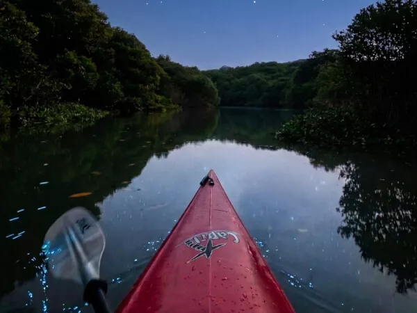 6月〜10月限定【神秘的なナイトカヤックツアー】幻想的な世界〜無数に光る夜光虫〜