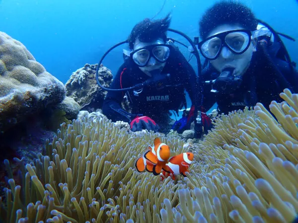 カイザーマリンクラブ3｜沖縄ダイビング｜シュノーケル｜慶良間（ケラマ）｜中島・ケラマ無人島上陸