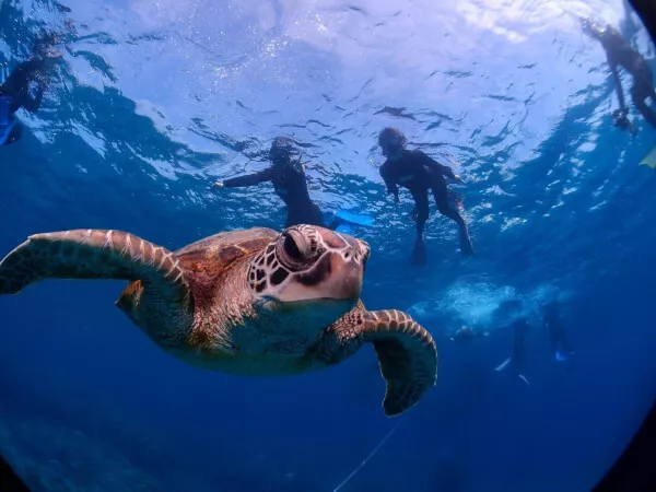 慶良間ボートシュノーケリング★慶良間無人島上陸ツアー【那覇発・終日・5歳以上・1名可・ランチ＆撮影写真付（データ：Facebook共有）】(C)
