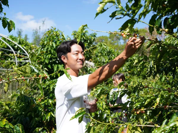 ここにプラン名が入ります。詳細ではプラン名は全て表示します。最大で2行