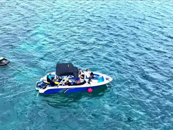 エグゼクティブクルージング WAVE BOATチャーター