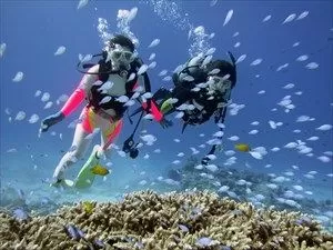 テストプラン【慶良間（ケラマ）】FUNダイビング（２ボート）