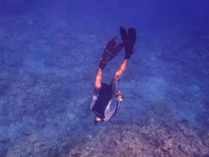 恩納村・真栄田岬スキンダイビング【ガイド貸切・素潜り・ビーチエントリー・店舗集合・10歳以上・2名～餌付け＆水中写真（SDカード付）無料】