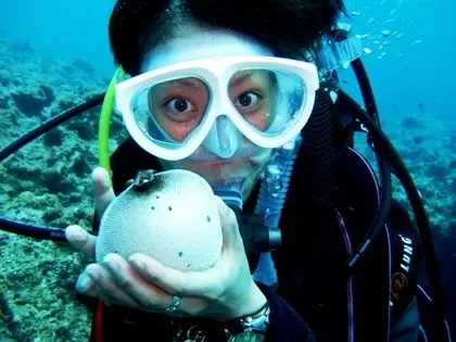 沖縄本島北部 ボートファンダイビング2本【ブセナ海中公園発・10歳以上・1名可・周辺ホテル送迎可・器材別途★許田インター車約10分】