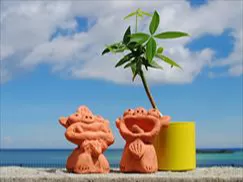 美ら海水族館車約20分『手びねりシーサー作り』【沖縄本島北部・今帰仁村・約90分・7歳以上・1名可・当日電話申込可】