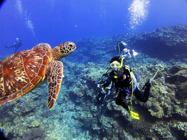 慶良間ボートファンダイビング2本【三重城港発・終日・10歳以上・1名可・器材別途・那覇市内ホテル送迎付き】