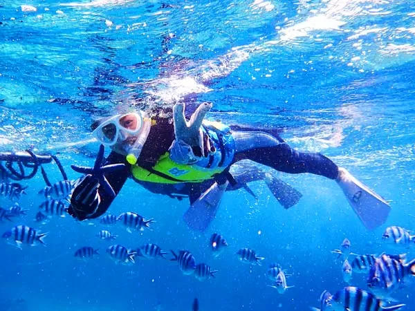 沖縄本島北部「ブセナ」ボートシュノーケリング【ブセナ海中公園発・6歳以上・1名可・周辺ホテル送迎可★許田インター車約10分】