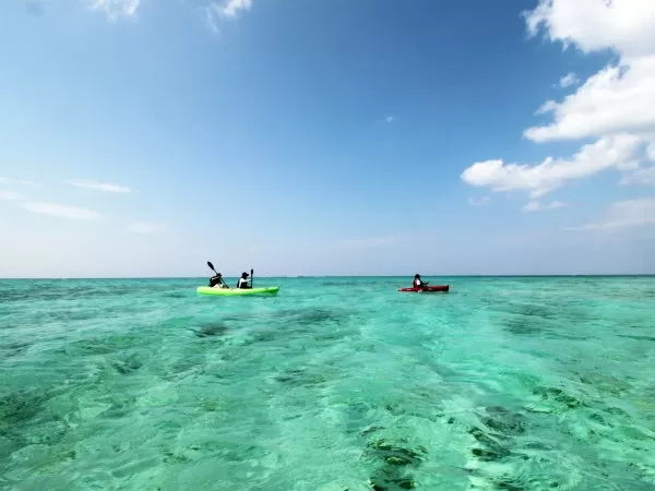 沖縄美ら海水族館から車約10分『赤墓ビーチ』上陸シーカヤックツアー【今帰仁（なきじん）村・約2時間45分・7歳以上・1名可・写真データ無料・当日電話申込可】