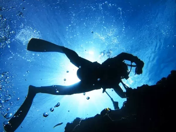 【本島中部発｜慶良間チービシ半日｜FUN2ダイブ｜2名～】 ケラマFUN2ダイブ 1日2便★器材レンタル料無料＆那覇～中部まで送迎付き