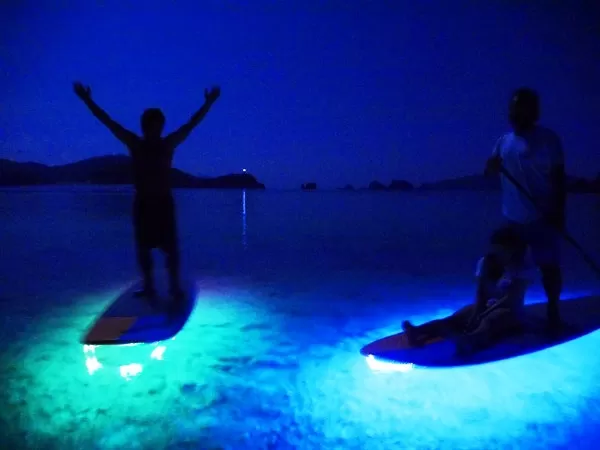 座間味島『ナイトSUPクルージング』★経験者限定【那覇日帰り不可・約2時間・5歳以上・2名～・写真データ無料・当日電話申込可★島内送迎】