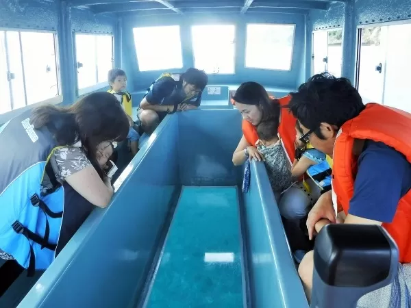 沖縄美ら海水族館から2分！備瀬マリンレジャー『グラス底ボート』水中観察ツアー【沖縄本島北部｜本部町「備瀬」・約90分・0歳可・2名～・当日電話申込可】★備瀬のフクギ並木入口に店舗