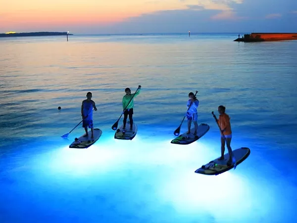 沖縄スタンドアップパドルボード|SUP|ネイチャーサービス マハエ