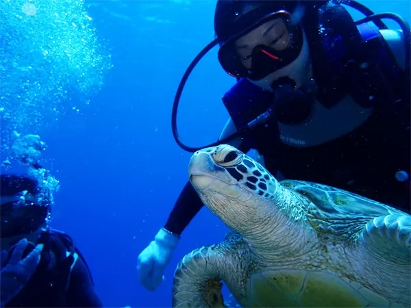 【那覇発｜慶良間チービシ半日｜体験1本｜1名可】体験ダイビング＆シュノーケル★ドリンク＆お魚への餌付け体験付き（D）