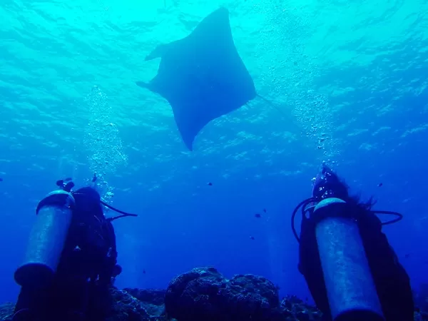 石垣島ボートファンダイビング3本【石垣市内発・1日・1名可・マンタ＆2～3ポイント周遊・ランチ＆送迎無料（石垣市街地～川平地区まで）】