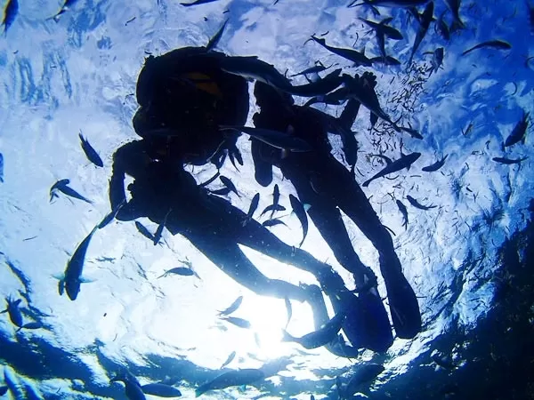 青の洞窟ビーチシュノーケリング【ガイド貸切・読谷村店舗集合・2歳以上・2名・餌付け＆水中写真無料（DL形式）・託児ルーム有！English/Chinese OK★当日電話申込可】