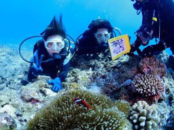 沖縄体験ダイビング1｜慶良間チービシ｜サザンリーフ沖縄