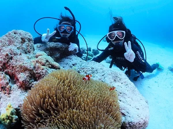 慶良間チービシボート体験ダイビング1本＋シュノーケリング【那覇発・半日・1日2便・2名～・撮影データ付き（スマートフォンへデータ直渡し可）・当日電話申込可】