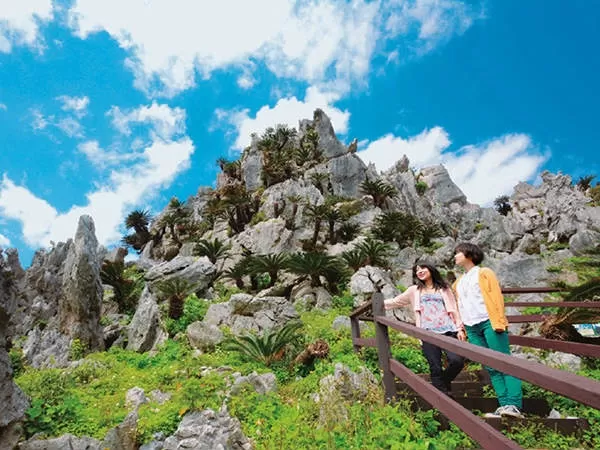 GOTOトラベルキャンペーン35％OFF！『沖縄美ら海水族館』観光バス＜コース＞辺戸岬⇒大石林山（やんばる国立公園内）⇒道の駅⇒水族館【那覇発・日帰り・約10～11時間・0歳以上・全施設入場料込・観光ガイド無し・車内Wifiフリー】（C）