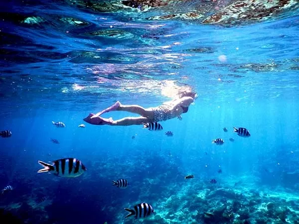 水納島周辺ボートシュノーケリング★4月～10月開催【沖縄本島北部・本部港発・約3時間・1日2便・小学生以上・1名可・4名以上予約で水中カメラ無料貸出・お魚餌付無料・当日電話申込可】※水納島上陸なし